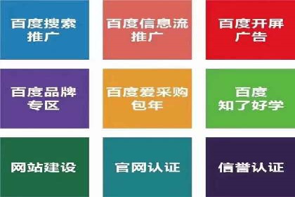 案例分析：短视频平台信息流广告效果评估